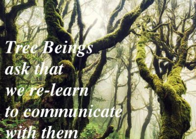 tree beings ask that we learn to communicate