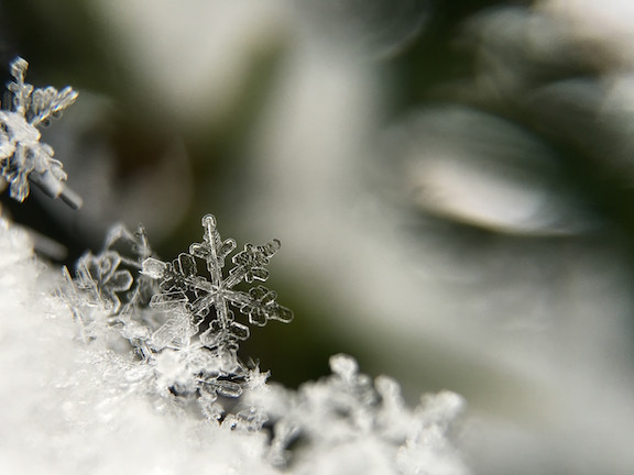 close up on snow flakes